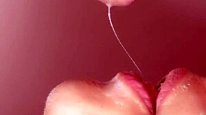 Japanese homestay experience with cultural insights and close interactions