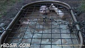 t beautys fucking holes with toys slave bdsm brunette blowjob masturbation hardcore fetish