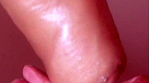 Japanese homestay experience with cultural insights and close interactions