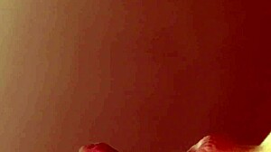 Japanese homestay experience with cultural insights and close interactions