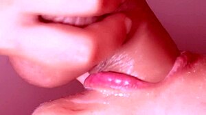 Japanese homestay experience with cultural insights and close interactions