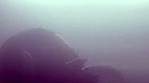 pareja de exhibicionistas follan en spa público-katty blake