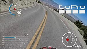 Whitney, wanna get bent over and fucked doggystyle hard?