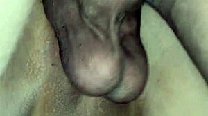 hey, wanna fuck my stepsister and milk her huge tits hard?