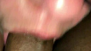 I recorded a young black bull cumming in my wife's mouth during our wife swap.
