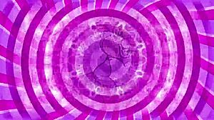 p is for pussy - teaser