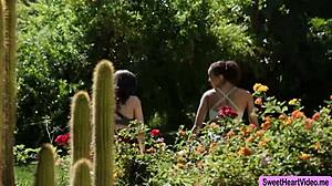 nasty lesbian trainer facesat by client licking ass