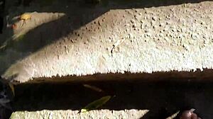 El toro de oro and paty bumbum fuck cousins