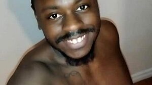 returning to make a mess while in a different room because my scorpio zodiac animal is also a messy wolf like my pet dog 2