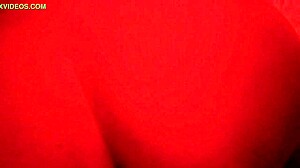 the mexican gordita relaxes in the hotel motel