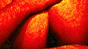 the mexican gordita relaxes in the hotel motel