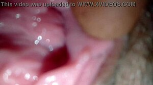 Lick That Shaved Pussy Until She Orgasms!