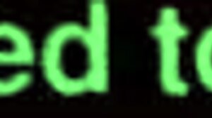 the mexican gordita relaxes in the hotel motel