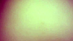 Couple Rides Horse Style