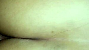 Horny latina fucks anal in doggystyle