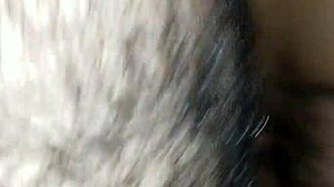 Horny latina fucks anal in doggystyle