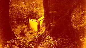 Vintage Erotic Illustration Of Hairy Antique Lesbian Scenes.