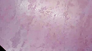 i love this sexy solo fingering and squirting session