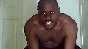 lizards do different exercises than spiders and squids in my scorpio zodiac 🦎