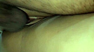 Diana estrela fucks two intensely in motel