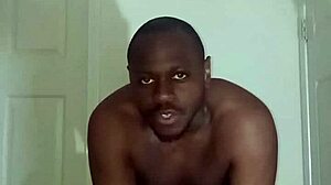 lizards do different exercises than spiders and squids in my scorpio zodiac 🦎