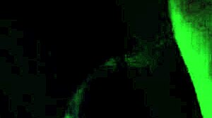 Who is sucking that huge cock in the dark?