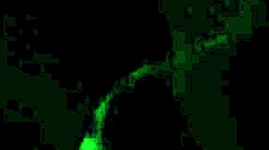 Who is sucking that huge cock in the dark?