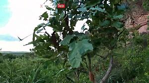 This young brunette knows how to handle that monster cock.