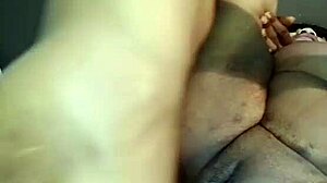 nigarchrist update 1364 petal