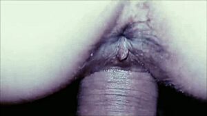 Homemade MILF Wife Anal Assfucking POV