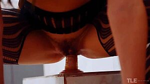 Sofia Torres Fingers Pussy With Dildo In Fishnets