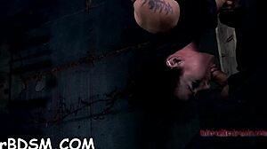 Tied Babes Show Hawt Assets In Rough Fucking Session