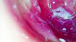 Amateur Uses Toys To Explore Her Kinky Tight Pussy In Softcore Session