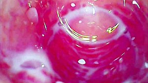 Amateur Uses Toys To Explore Her Kinky Tight Pussy In Softcore Session