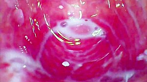 Amateur Uses Toys To Explore Her Kinky Tight Pussy In Softcore Session