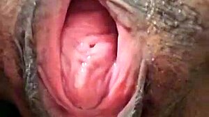 Brenda Floripa Shows Off in Ripped Clothes Solo