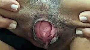 Brenda Floripa Shows Off in Ripped Clothes Solo