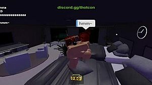 video de verificacion