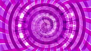 my to do list for sissification instructions