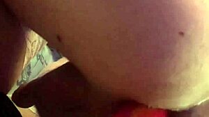 anal loosing with horse cock dildo