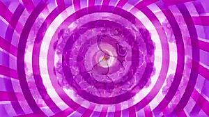 my to do list for sissification instructions