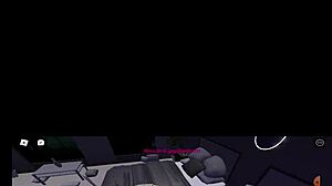 video de verificacion