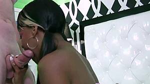 Ebony Babe Gives Handjob And Blowjob Leading To Facial Cumshot!