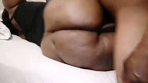 Nigarchrist Update 1289 Petal 20250601 182800 Jun 01 2025