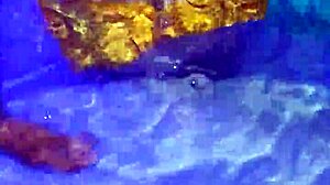 mexican puta sucking dick in pool, no fear of neighbors?