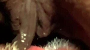 morning after with flowerandlouis: muff diving and moans 😍😂 - update 5