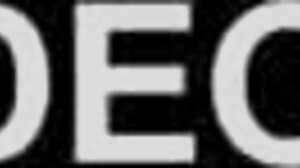 hey, ever tried japanese women’s aroma massage?