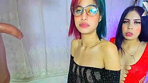 eager bitches desire wet cock sucking