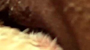 morning after with flowerandlouis: muff diving and moans 😍😂 - update 5