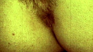 vintage hairy beaver gets wild in retro interracial pounding